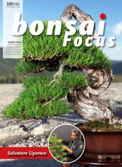 Bonsai Focus (English Edition) – September-October 2019