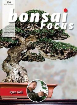 Bonsai Focus (German Edition) – Juli-August 2020