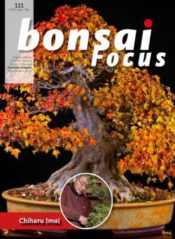 Bonsai Focus (German Edition) – September-Oktober 2021