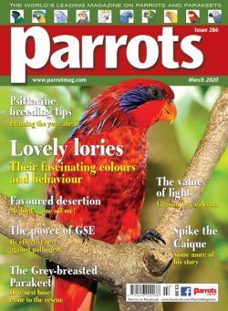 Parrots – March 2020