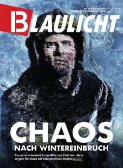 Blaulicht – Januar 2022