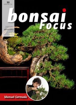 Bonsai Focus (Edizione Italiana) – Novembre-Dicembre 2020