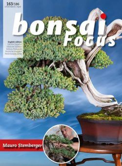 Bonsai Focus (English Edition) – March-April 2020