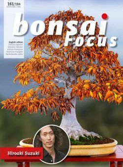 Bonsai Focus (English Edition) – November-December 2019