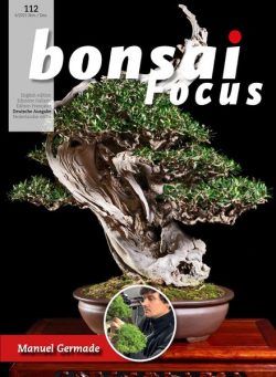 Bonsai Focus (German Edition) – November-Dezember 2021