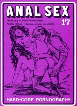 Anal Sex – Nr 17