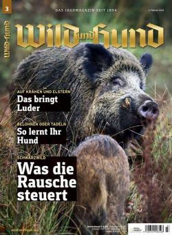 Wild und Hund – Februar 2022