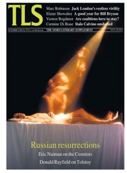 The Times Literary Supplement – 22 November 2013