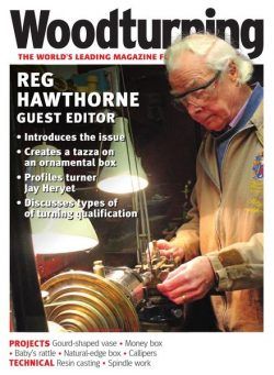 Woodturning – Issue 369 – April 2022