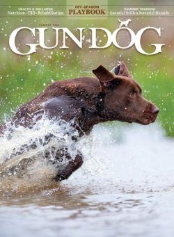 Gun Dog – May 2022