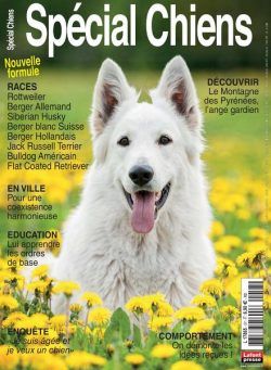 Special Chiens – Juillet-Septembre 2022