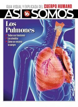 Asi Somos – El cuerpo humano – agosto 2022