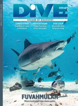 Dive Magazine – July 2022