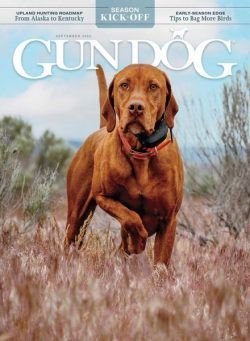 Gun Dog – September 2022