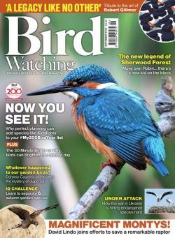 Bird Watching UK – September 2022