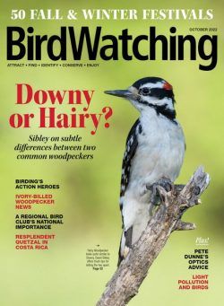 BirdWatching USA – September-October 2022