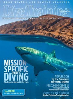 Dive Training – December 2015