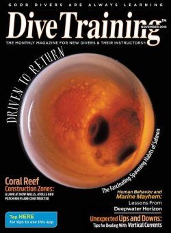 Dive Training – November 2015