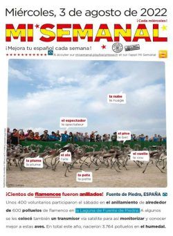 Mi Semanal – 04 agosto 2022