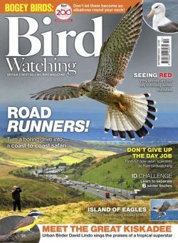 Bird Watching UK – October 2022