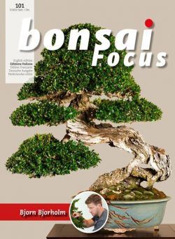 Bonsai Focus Edizione Italiana N101 – Settembre-Ottobre 2022