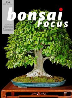 Bonsai Focus German Edition – Marz-April 2022