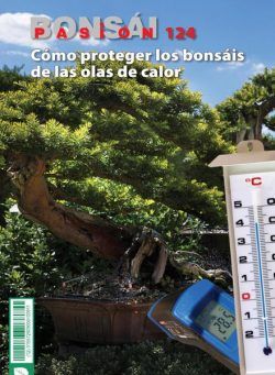 Bonsai Pasion – octubre 2022