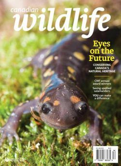 Canadian Wildlife – July-August 2022