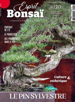 Esprit Bonsai – octobre 2022