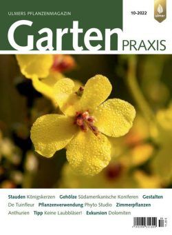 Gartenpraxis – Nr 10 2022