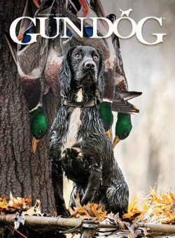 Gun Dog – November 2022