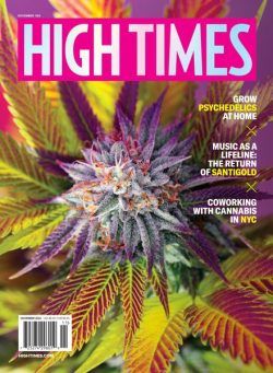 High Times – November 2022