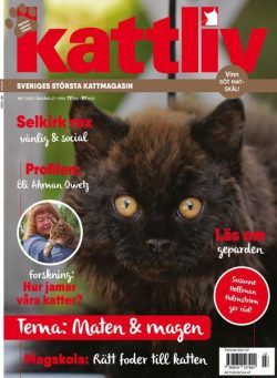 Kattliv – oktober 2022