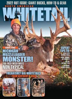 North American Whitetail – November 2022