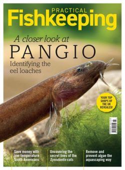 Practical Fishkeeping – November 2022