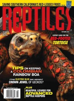 Reptiles – May-June 2021