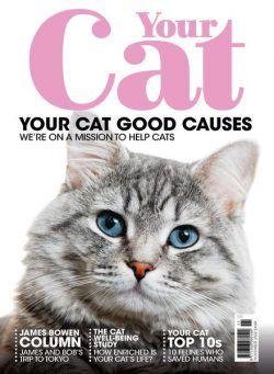 Your Cat – November 2022