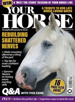 Your Horse – November 2022