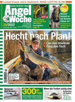 Angel Woche – 25 November 2022