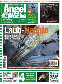 Angel Woche – 28 Oktober 2022