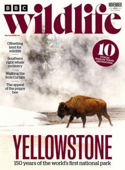 BBC Wildlife – November 2022