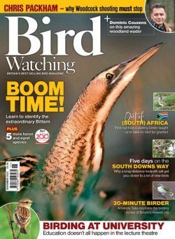 Bird Watching UK – November 2022