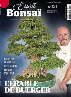 Esprit Bonsai – decembre 2022