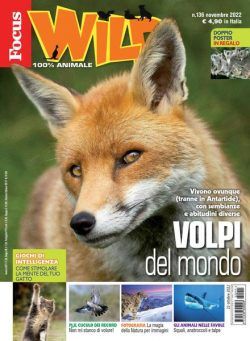 Focus Wild – novembre 2022