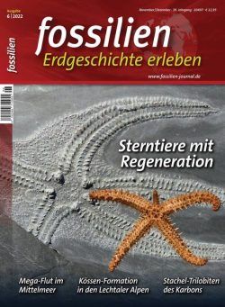 FOSSILIEN – Erdgeschichte erleben – November 2022