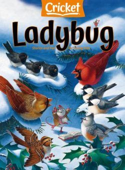 Ladybug – November 2022