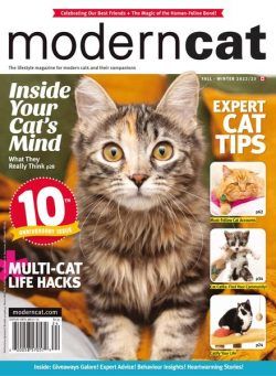 Modern Cat – November 2022