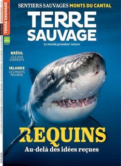 Terre Sauvage – novembre 2022