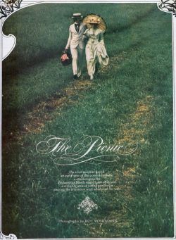 The Picnic 1973