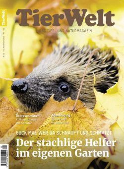 TierWelt – 05 November 2022